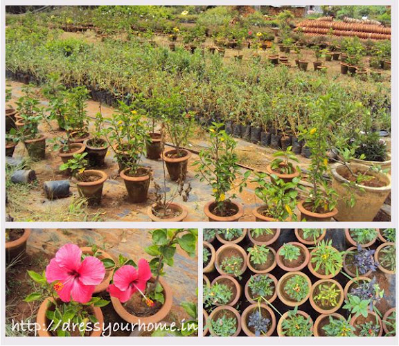 Gardening Nurseries in Varthur, Bangalore dress your home